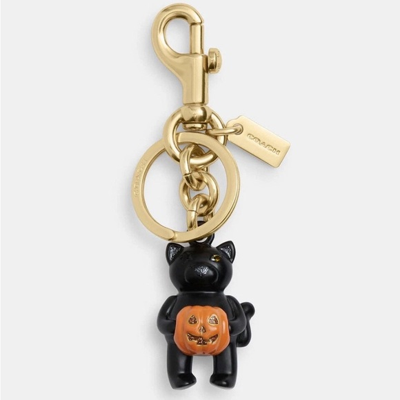 COACH NWT 2024 HALLOWEEN BLACK CAT WITH PUMPKIN KEY CHAIN/BAG CHARM CW480 - Picture 1 of 8